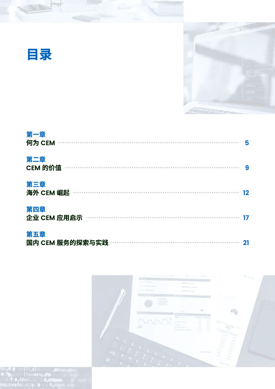 海内外CEM软件研究白皮书_大数跨境