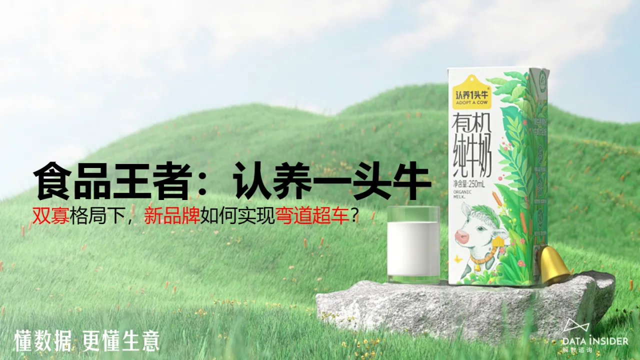 解数咨询认养一头牛-双寡格局下新品牌如何实现弯道超车54页_大数跨境