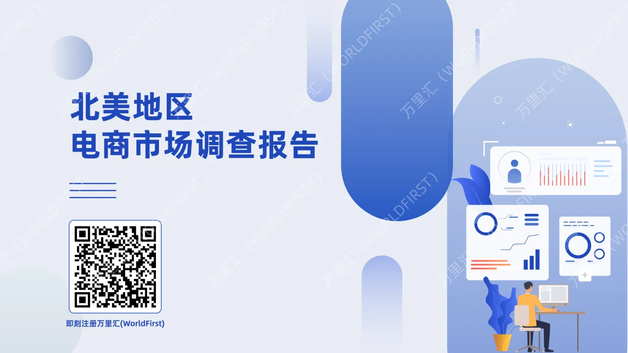 北美地区电商市场调查报告_大数跨境