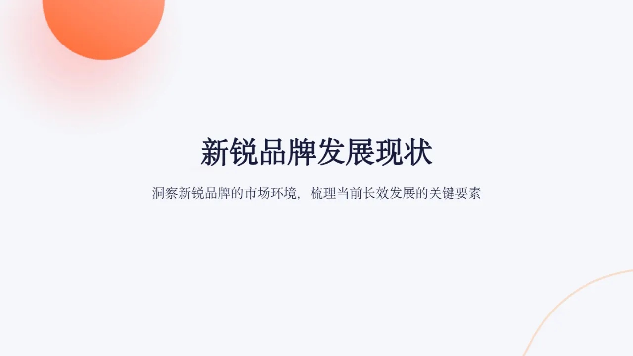 GrowinglO2024新锐品牌报告-数字营销下的新锐服装品牌升级路37页- 大数跨境
