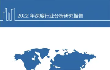 2022年跨境电商快时尚龙头SHEIN核心竞争力及未来规划分析报告