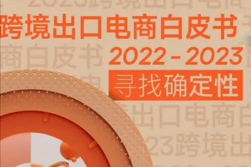 2022-2023跨境出口电商白皮书