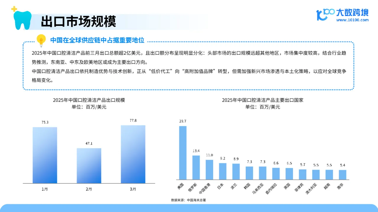 大数跨境：2025口腔护理产品市场洞察报告- 大数跨境