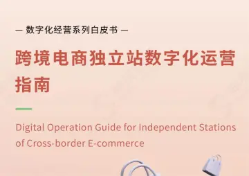 跨境电商独立站数字化运营指南2022