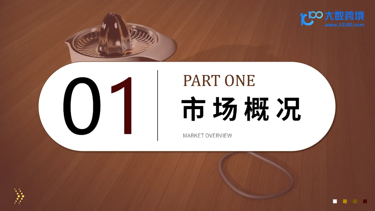 大数跨境：2024全球小家电市场洞察报告_大数跨境