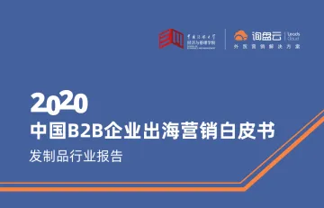 询盘云2020中国B2B企业出海营销白皮书发制品行业报告