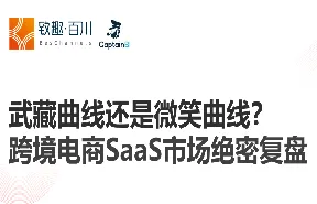 致趣百川2022跨境电商SaaS市场绝密复盘