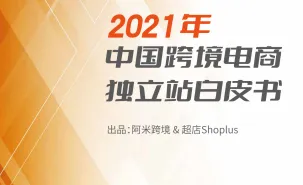 阿米跨境超店Shoplus2021年中国跨境电商独立站白皮书