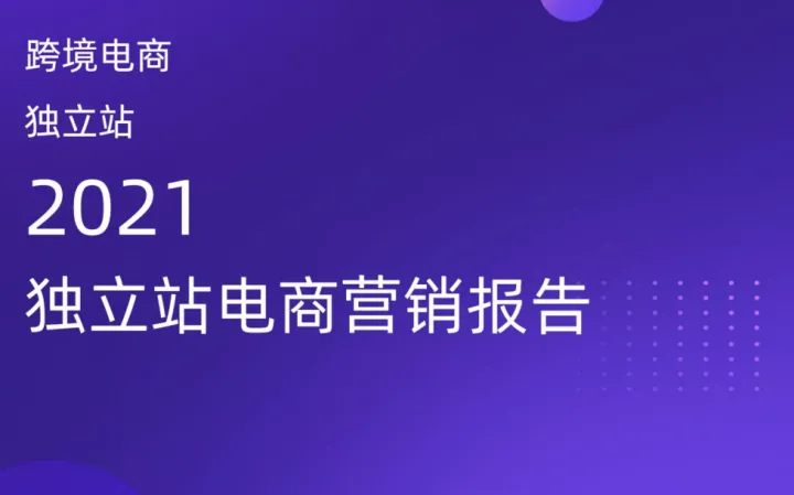 GoodSpy2021年独立站电商营销报告45页