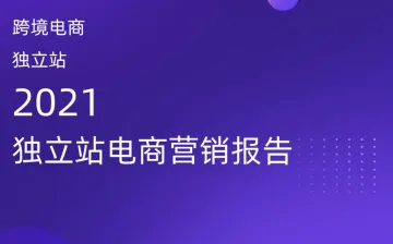 GoodSpy2021年独立站电商营销报告45页