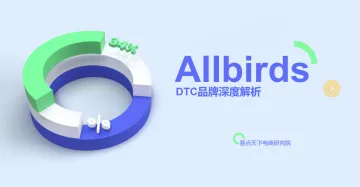 2021年AllbirdsDTC品牌深度解析报告27页