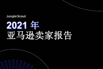 2021年亚马逊卖家报告
