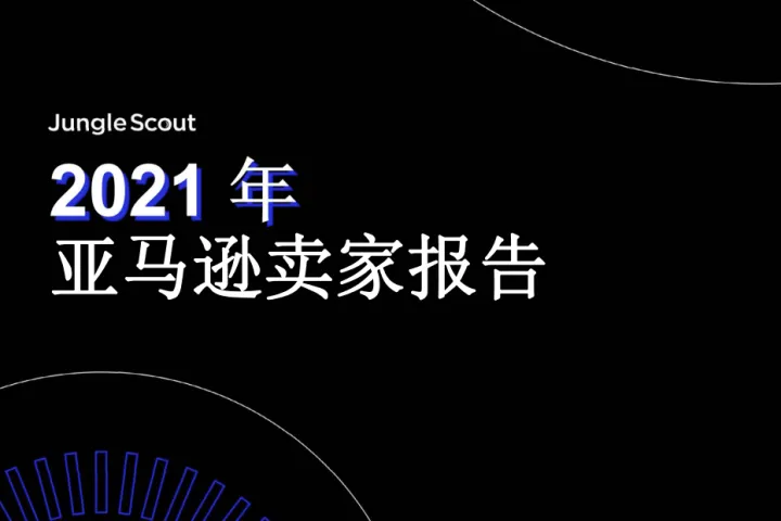 2021年亚马逊卖家报告