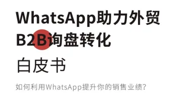 2021年WhatsApp助力外贸B2B询盘转化白皮书