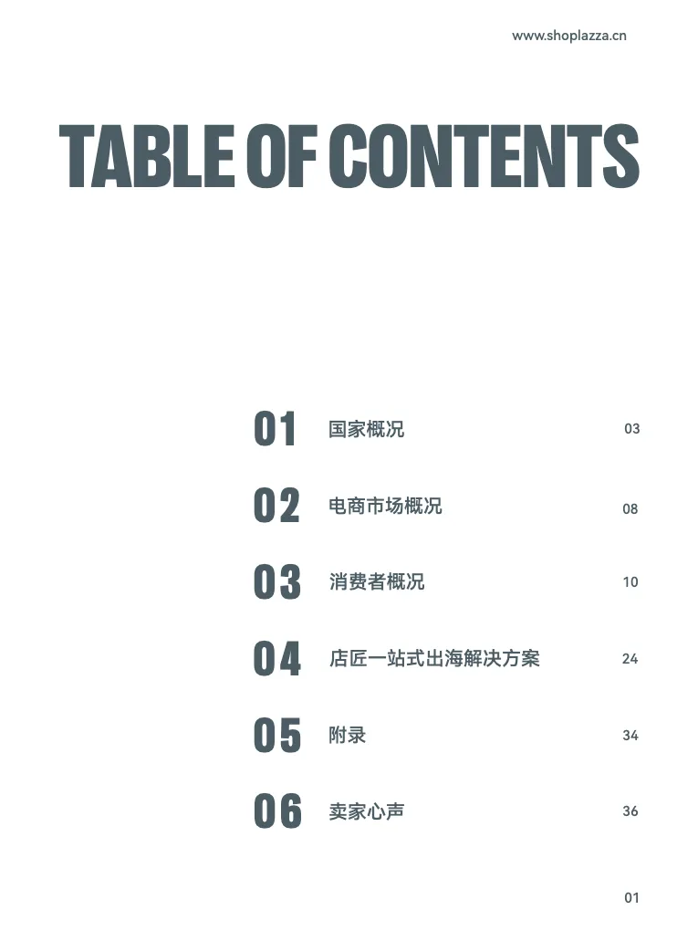 跨境蓝海拉美市场洞察-巴西篇 - 跨境电商报告 - 大数跨境