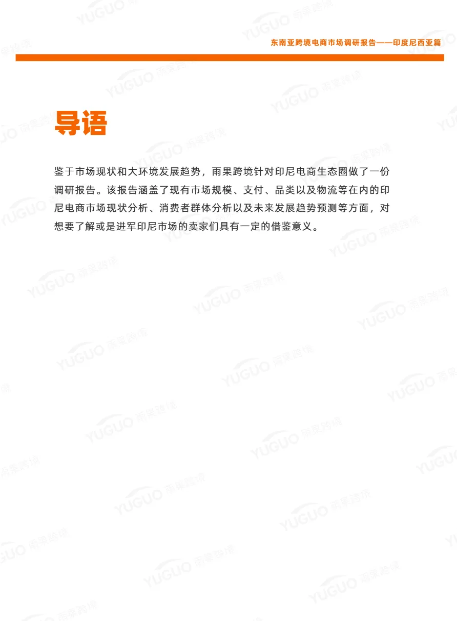 雨果跨境：2021东南亚跨境电商市场调研报告：印度尼西亚篇（23页）_大数跨境