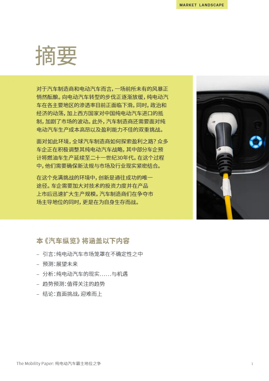 标普全球:2025汽车纵览系列报告:纯电动汽车霸主地位之争- 大数跨境