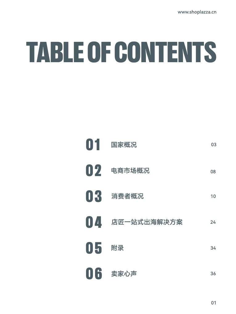 跨境蓝海拉美市场洞察-墨西哥篇 - 跨境电商报告 - 大数跨境