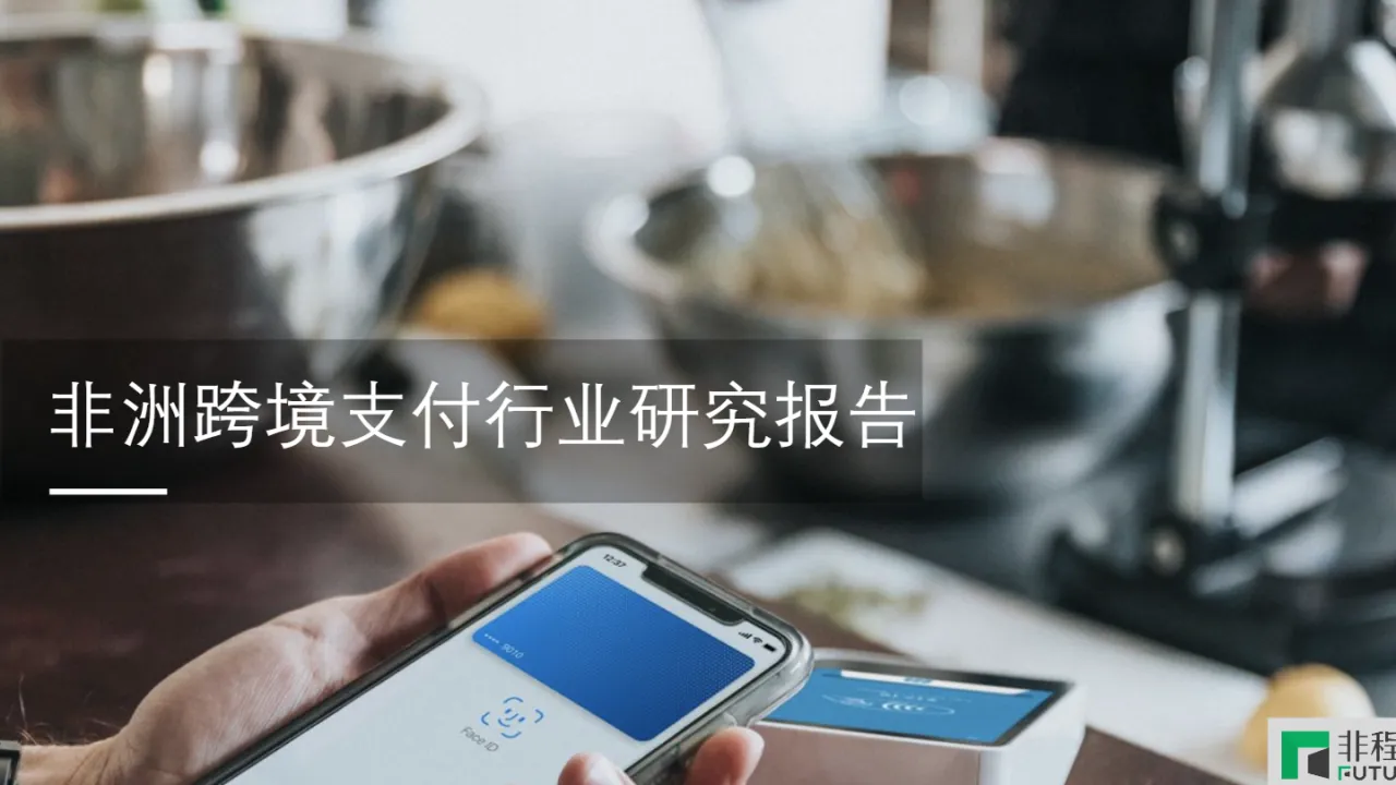 非程创新：非洲跨境支付行业研究报告_大数跨境