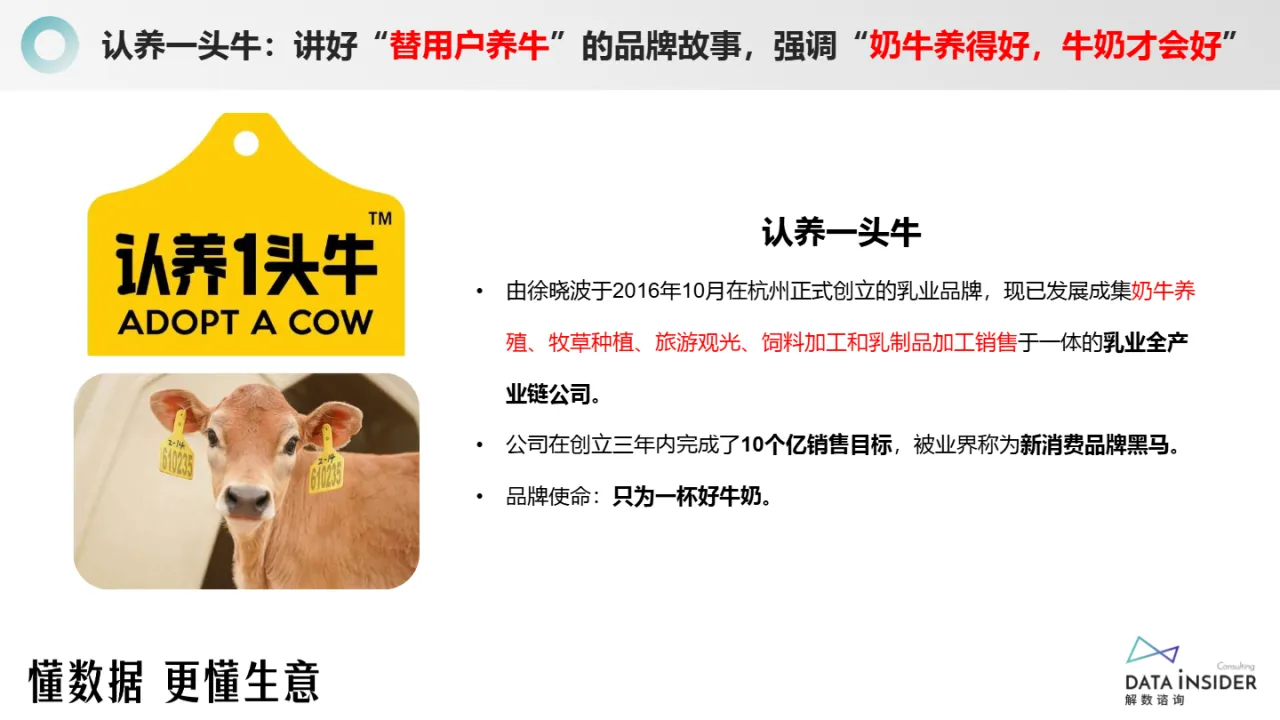 解数咨询认养一头牛-双寡格局下新品牌如何实现弯道超车54页_大数跨境