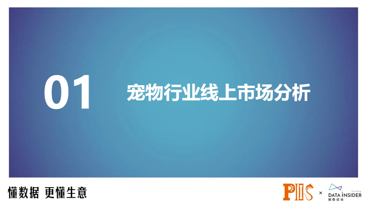 解数咨询2024犬粮品类的再思考报告37页_大数跨境