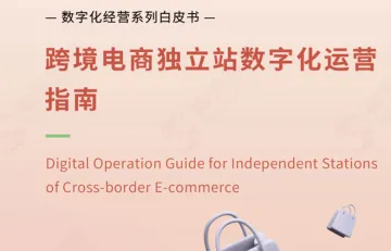 跨境电商独立站数字化运营指南