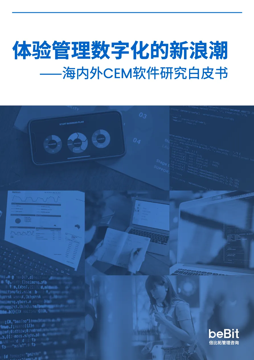 海内外CEM软件研究白皮书_大数跨境