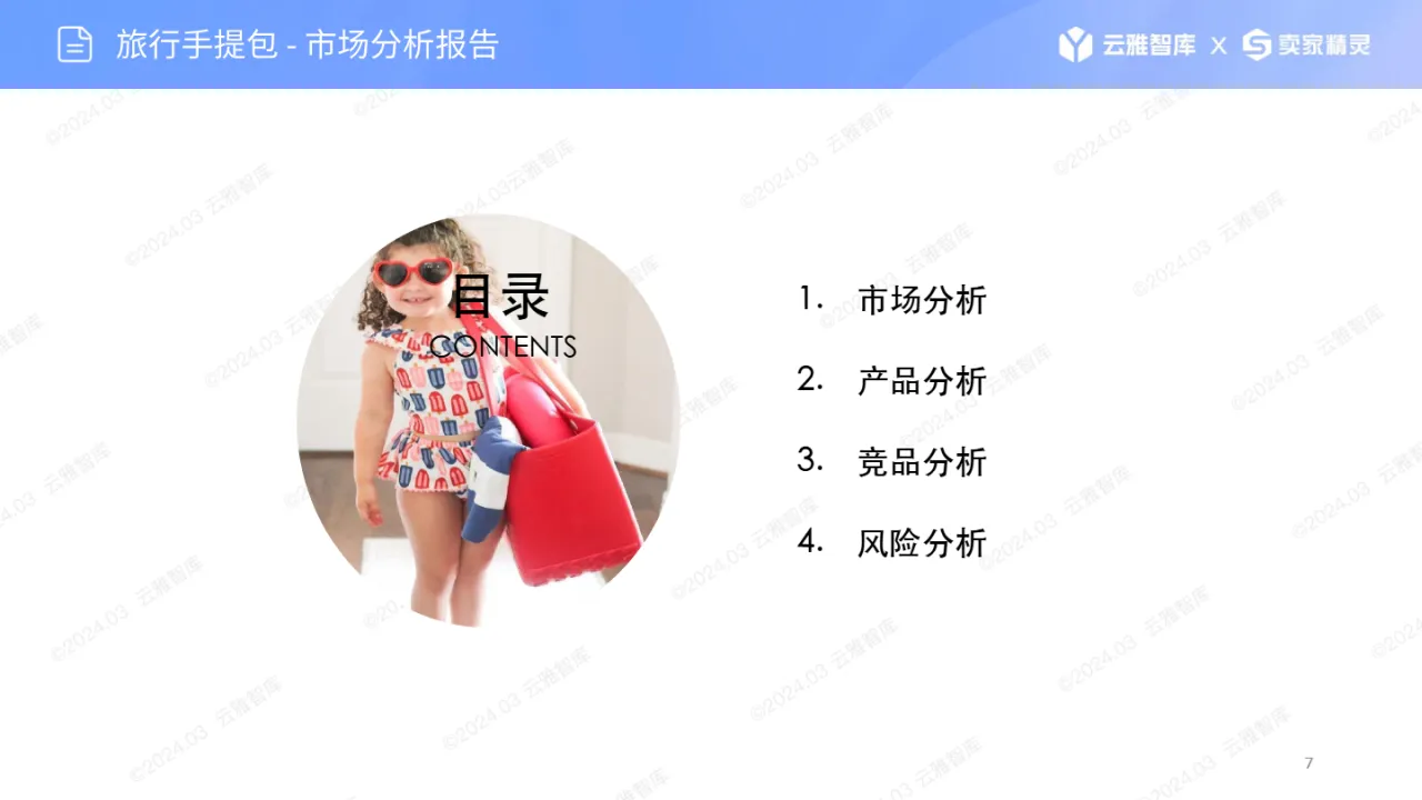 2024旅行手提包市场报告_大数跨境