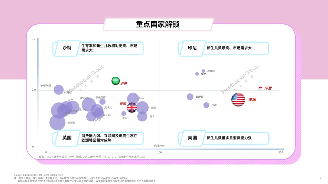 小生命、大未来：2024母婴行业出海白皮书_大数跨境