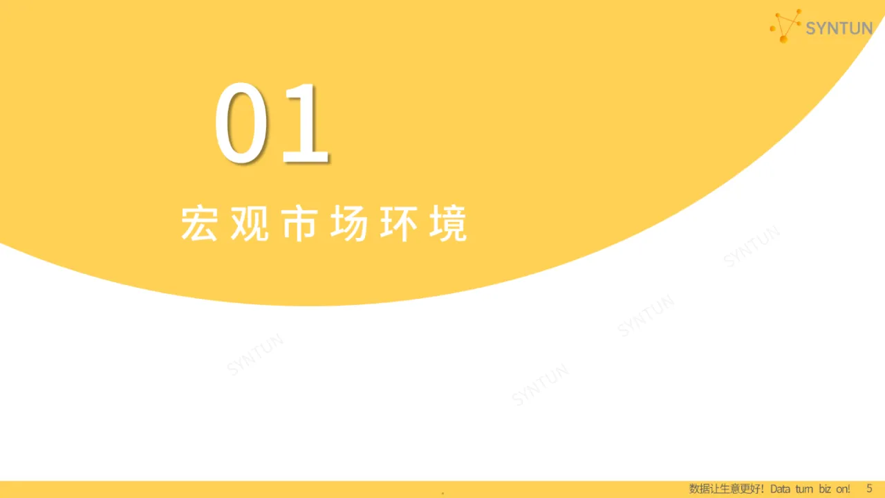 2024年电商发展报告_大数跨境