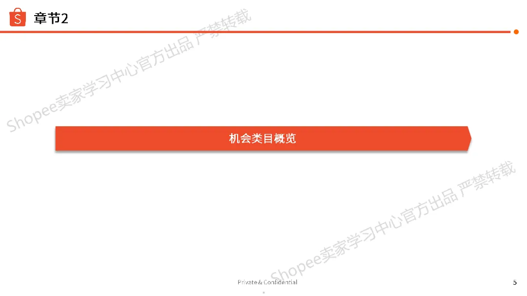 虾皮(Shopee):2024年运动户外品类:菲律宾Ber Month 机会点分析报告(16页)_大数跨境