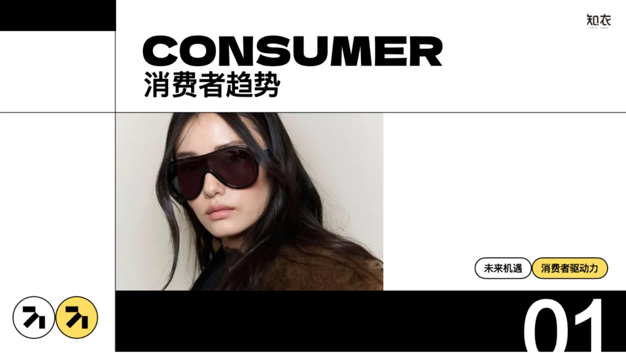 知衣科技：2024-2025秋冬跨境电商女装白皮书_大数跨境