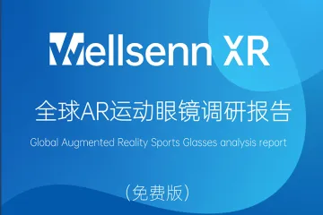 2024全球AR运动眼镜调研报告