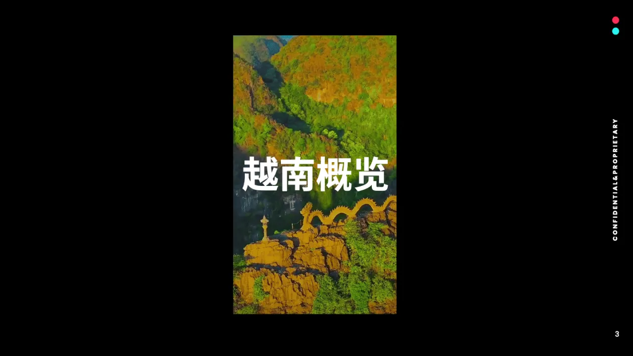 TikTok:2024全球市场百宝书-越南篇_大数跨境