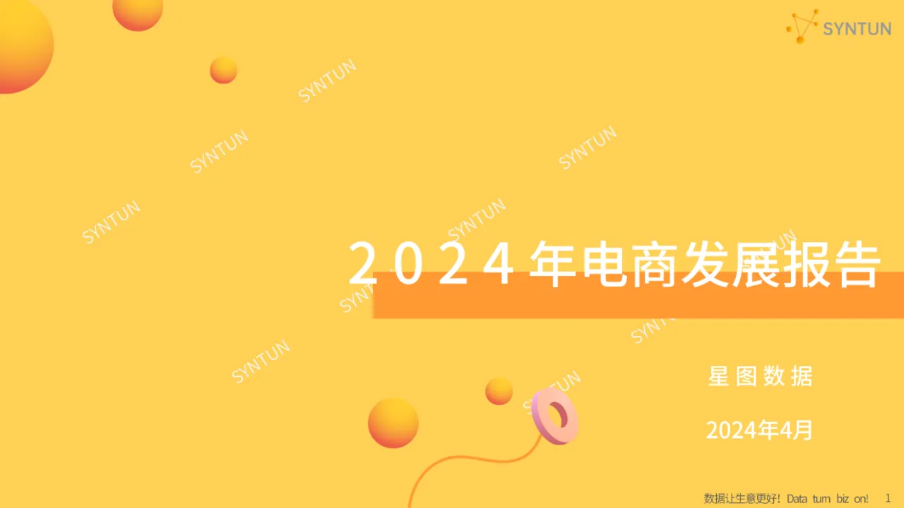 2024年电商发展报告_大数跨境