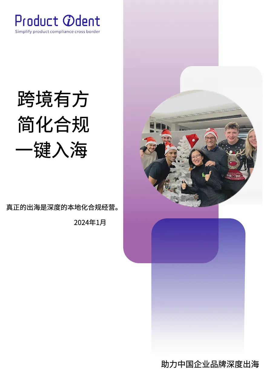 Product Ident GmbH：2024出海有方白皮书--跨境有方 简化合规 一键入海_大数跨境