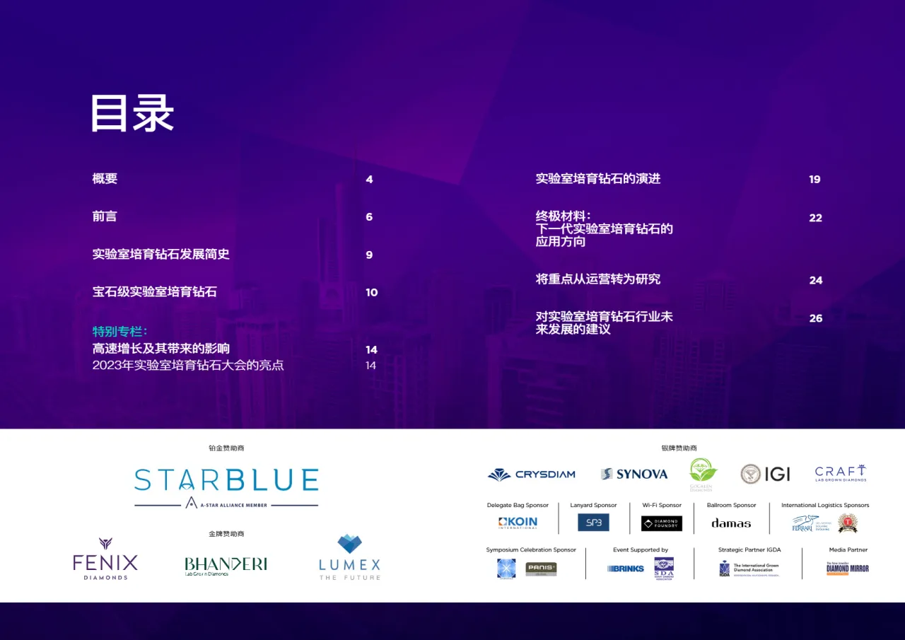 DMCC2023贸易的未来实验室培育钻石特别版15页_大数跨境