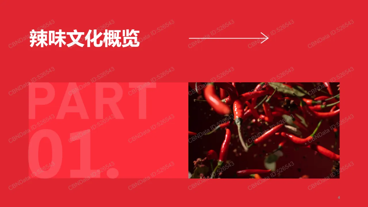 第一财经商业数据中心2025年辣味休闲食品行业报告36页- 大数跨境
