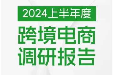 2024上半年度跨境电商调研报告