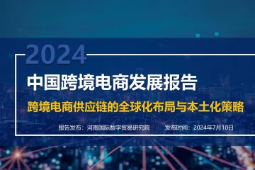 2024中国跨境电商发展报告：跨境电商供应链的全球化布局和本土化策略