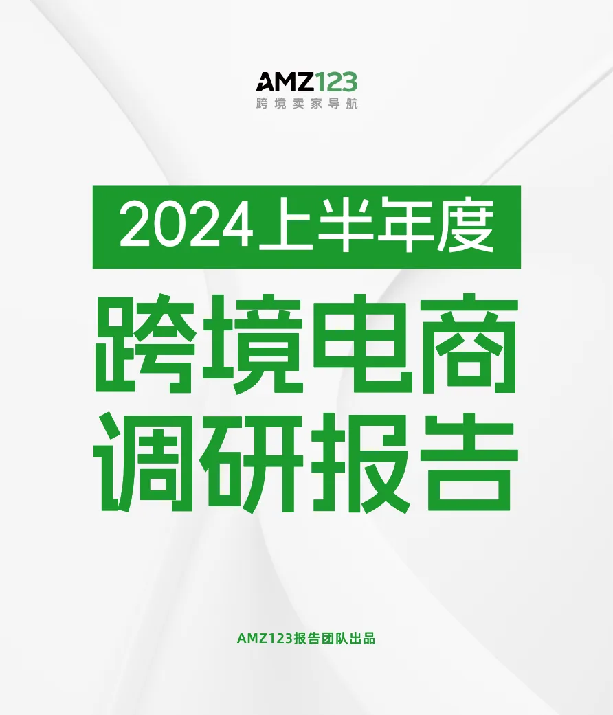 2024上半年度跨境电商调研报告_大数跨境