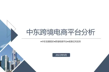 中东跨境电商平台分析