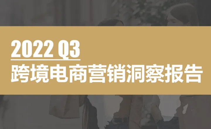 2022Q3跨境电商大促季洞察报告