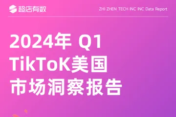 2024年Q1 TikTok美国市场洞察报告