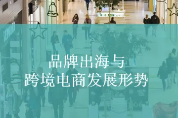 品牌出海与跨境电商发展形势