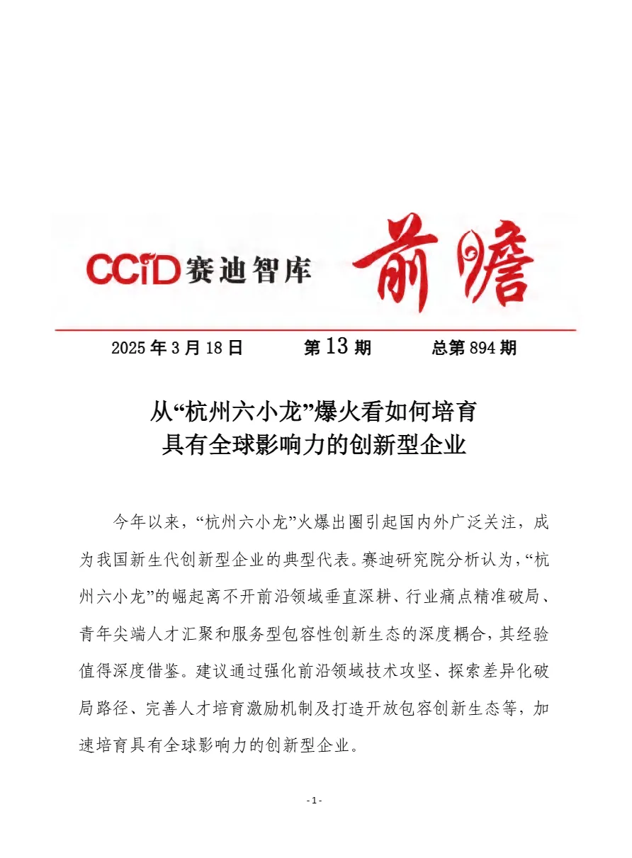 赛迪前瞻2025从杭州六小龙爆火看如何培育具有全球影响力的创新型企业报告15页- 大数跨境