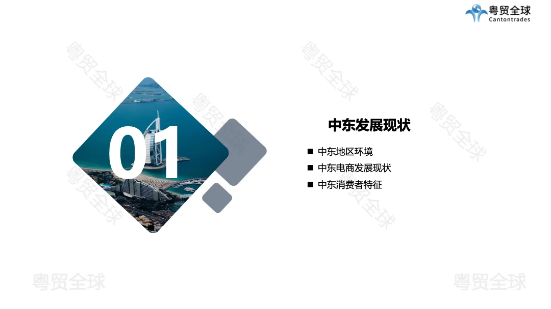 中东跨境电商平台分析_ 如何开拓中东市场_中东市场现状-大数跨境