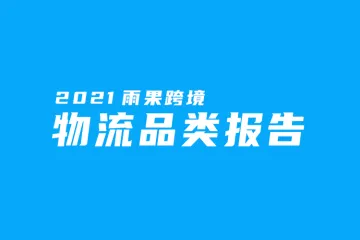 2021雨果跨境物流品类报告
