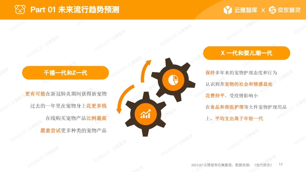 2023宠物喂食器行业分析报告_大数跨境