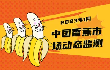 云果：中国香蕉市场动态监测（2023年1月）